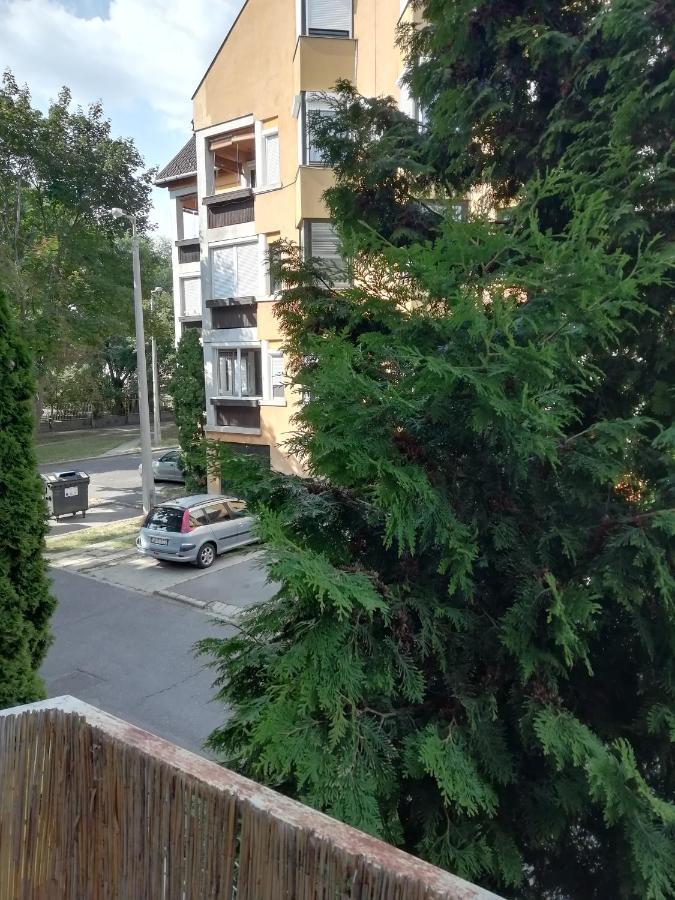 Rokus Apartman Appartamento Szeged Esterno foto